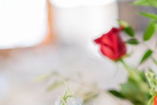 Merrimon Florist - 7