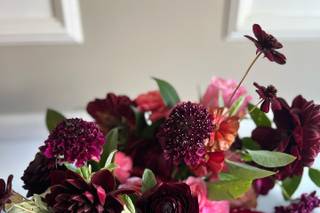 Aster & Fir - 5