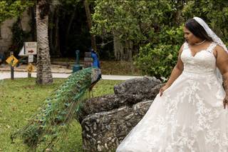 Debra's Bridal Shop at The Avenues - 17