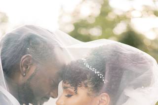 Anthony Page Photography - 11