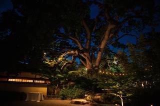 Trung Hoang Photography - 34