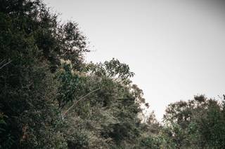 Becoming Bridal Collective - 9