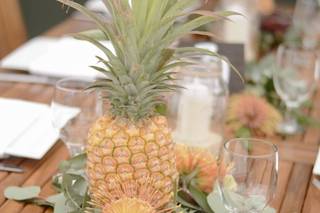 A Rainbow in Paradise Weddings - 13