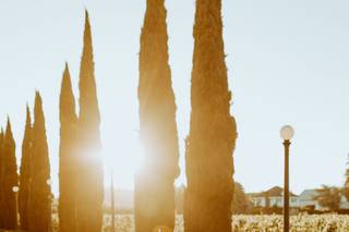 St Josef's Winery - 5