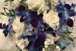 Sharon Elizabeth's - 58