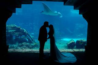 Bahamas Wedding Productions Photography and Film - 18