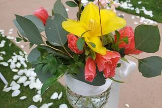 The Painted Primrose - 27