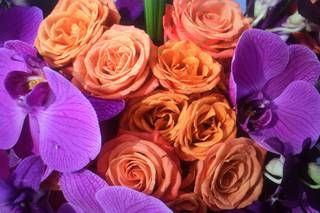 Asa Flowers - 82