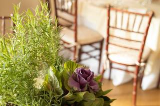 Peony Design Studio - 51