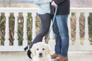 The Tuckers Photography - 5