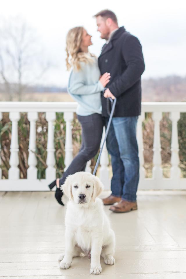 The Tuckers Photography - 2