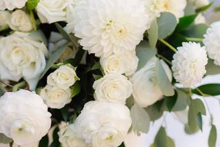 Floral Wonders - 59