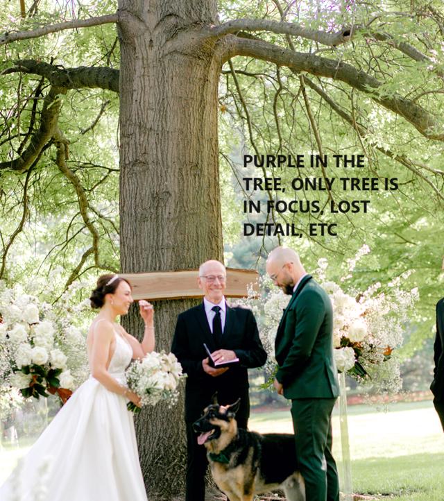 Sheree Nicole Photography - 2