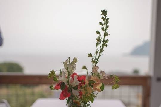 Whidbey Event Rentals 4