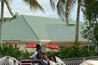 Sweet Southern Horse & Carriage - 11