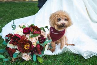 Allium Floral Design & Event Styling - 35