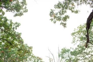 Wadsworth Homestead - 43