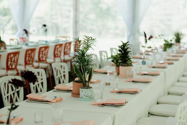 Special Occasions LLC - 3