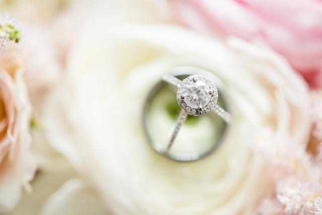 Kelsie Lynn Photography - 3