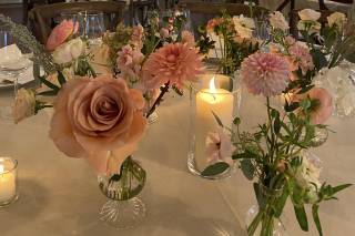 Dhalia Events - 10