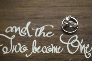 Mandi Mitchell Photography - 8