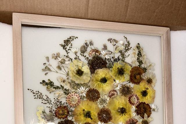 White Poppy Preservation 2