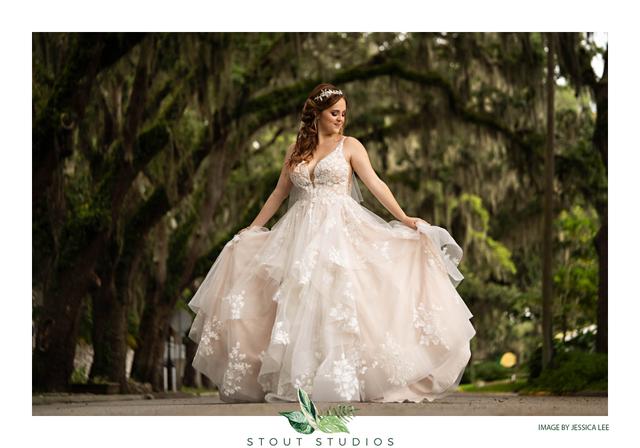 The Collection Bridal - 3