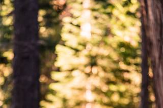 Ceremonies by Meredith - 37