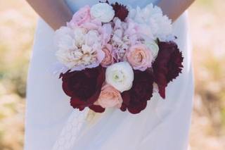 Kathy Pothier Photography - 9