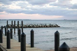 Chesapeake Bay Foundation - 50