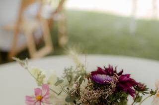Cedar Circle Farm - 50