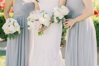 Lovely Peonies - 81