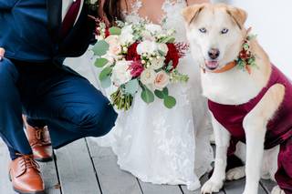 Amanda Rai Photography - 34