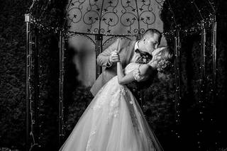 Barnyard Photography - 40