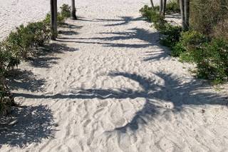 Bellwether Beach Resort - 59