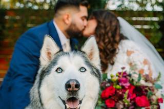 Caroline Rose Photography - 20