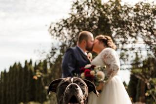 Works by Sarah Jane Photography - 61