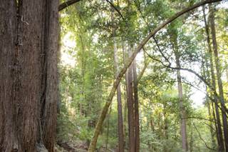 Julia Joy Photography - 7