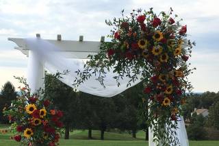 Petal Burst Designs - 33