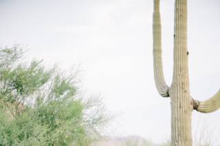 Ashley Rae Photography - 55