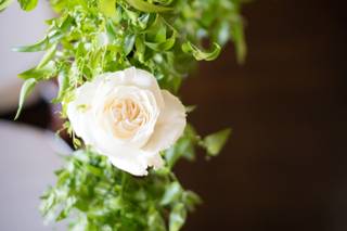 Sarah's Garden - 20