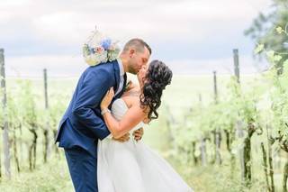 Sanders Ridge Vineyard & Winery - 21