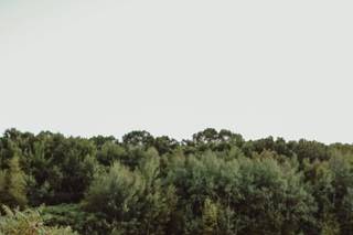 MLW Photography - 18