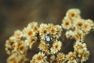 Anza Creative - 18