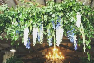 Jimmy Blooms Floral - 17