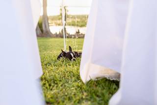 Abundant Grace Photography - 67