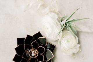 Trisha Shelley Photography - 7