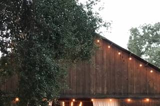 Michele Carroll Events - 18