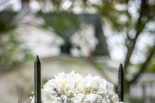 The Honey Tree - 36