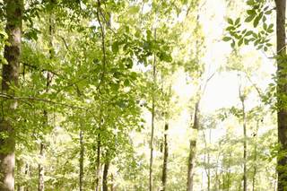 Ali Nicole Photography - 34